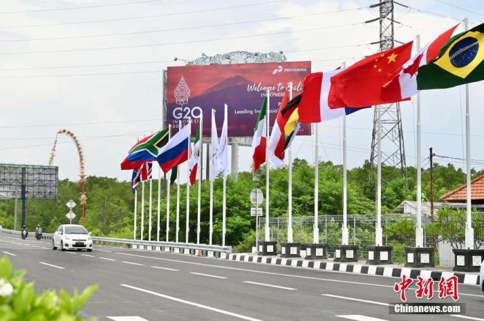 印尼巴厘島道路上G20成員國(guó)的國(guó)旗及歡迎海報(bào)。 中新社記者 李志華 攝