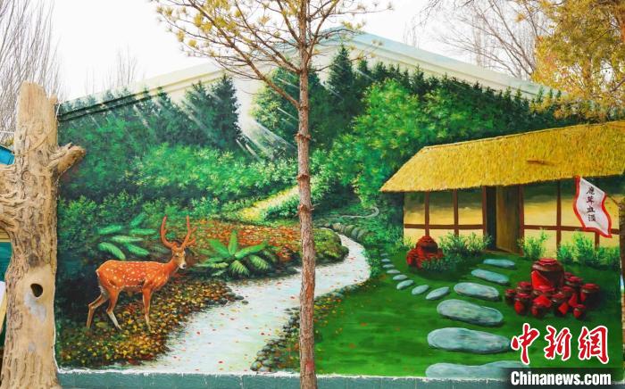 繪制好的鄉(xiāng)村墻繪。　寧夏文旅廳供圖