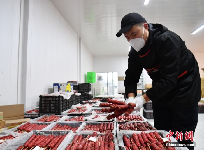 1月18日，雄安新區(qū)大樹劉莊村辛愛青家中的冰糖葫蘆加工廠，工人正在制作冰糖葫蘆。作為遠(yuǎn)近聞名的“冰糖葫蘆村”，大樹劉莊村制作冰糖葫蘆的歷史已有100多年，全村三分之二的村民都會(huì)這門手藝，吸引不少游客慕名而來(lái)。 中新社記者 韓冰 攝