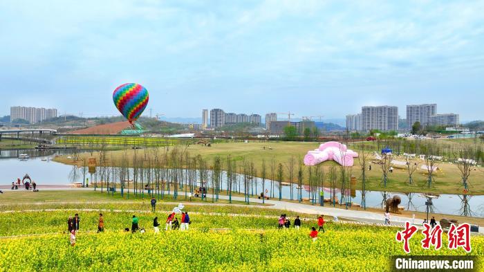 湖北宜昌卷橋河濕地公園內(nèi)，市民相伴享受都市里的田園之樂 周星亮 攝