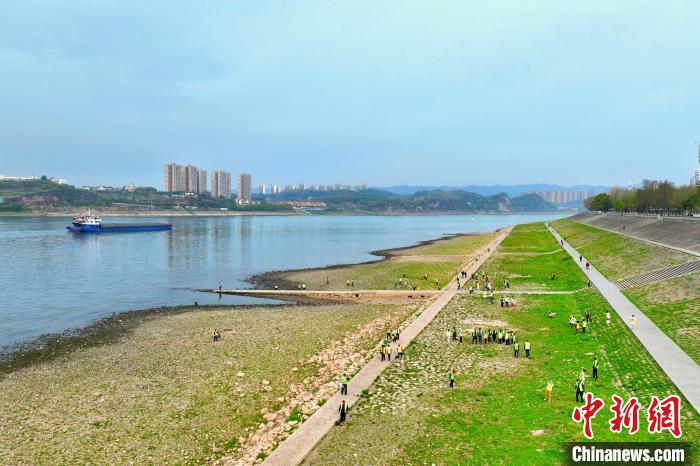 在宜昌城區(qū)長江岸畔，市民化身“護(hù)江使者”沿江而行 周星亮 攝