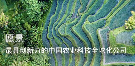 先正達(dá)過會(huì)！A股史上第四大IPO什么來頭？